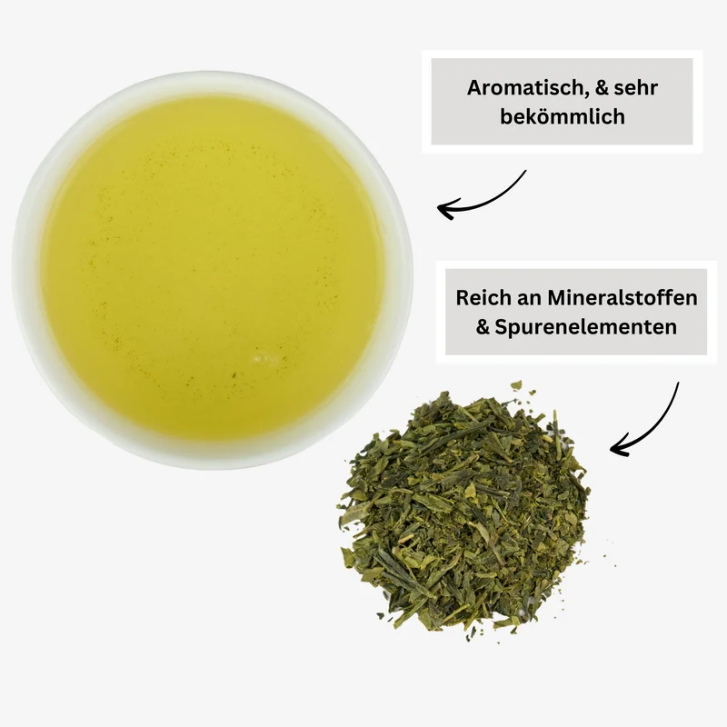 BANCHA TEE