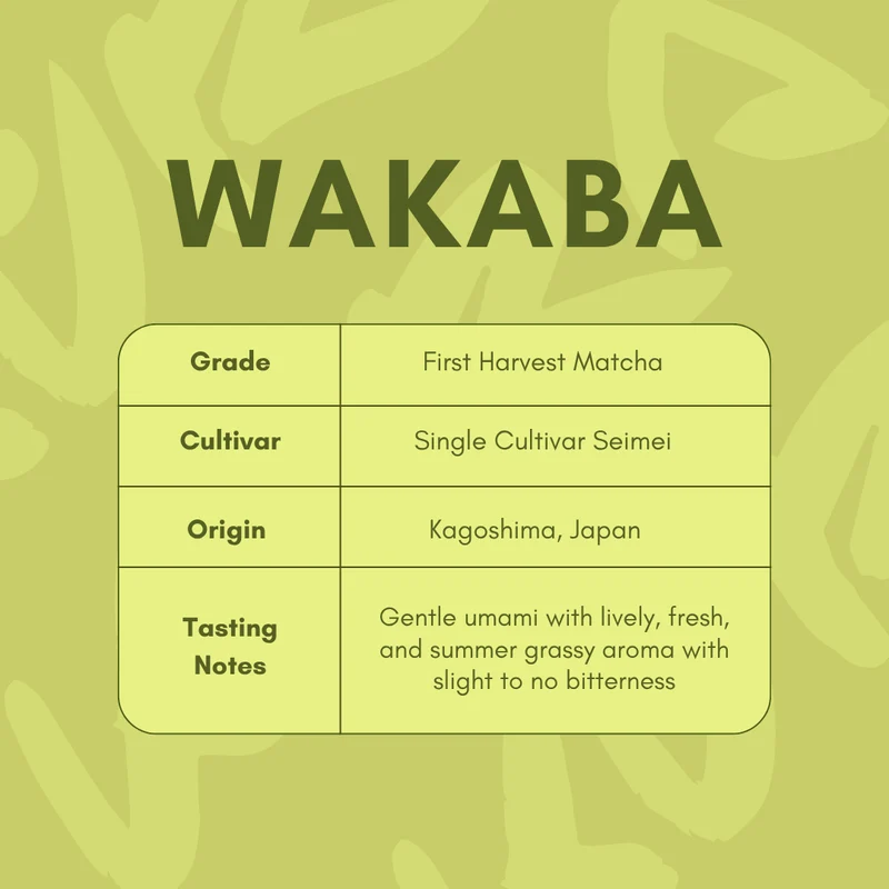 Wakaba (30g)