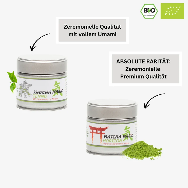 ALL IN ONE BUNDLE