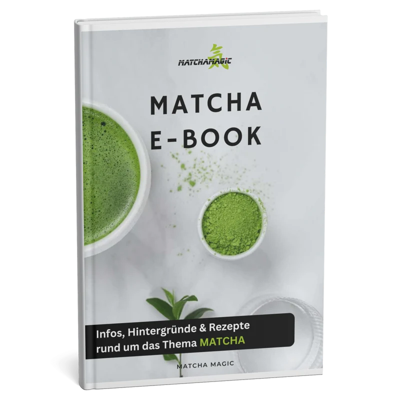 E-Book