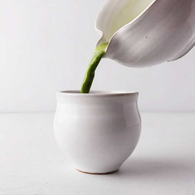 Yumiko Kuga Matcha Cup