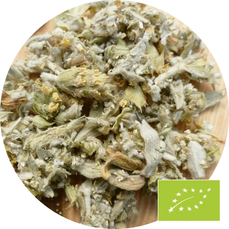No. 616 Griechischer Bergtee Bio 100g DE-ÖKO-003