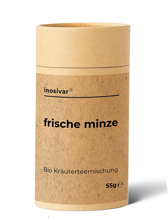 Bio Tee "Frische Minze"