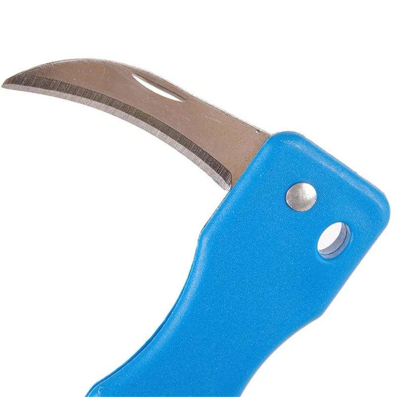 Kitchen Accessories Stainless Steel Scales Skinner Kitchen