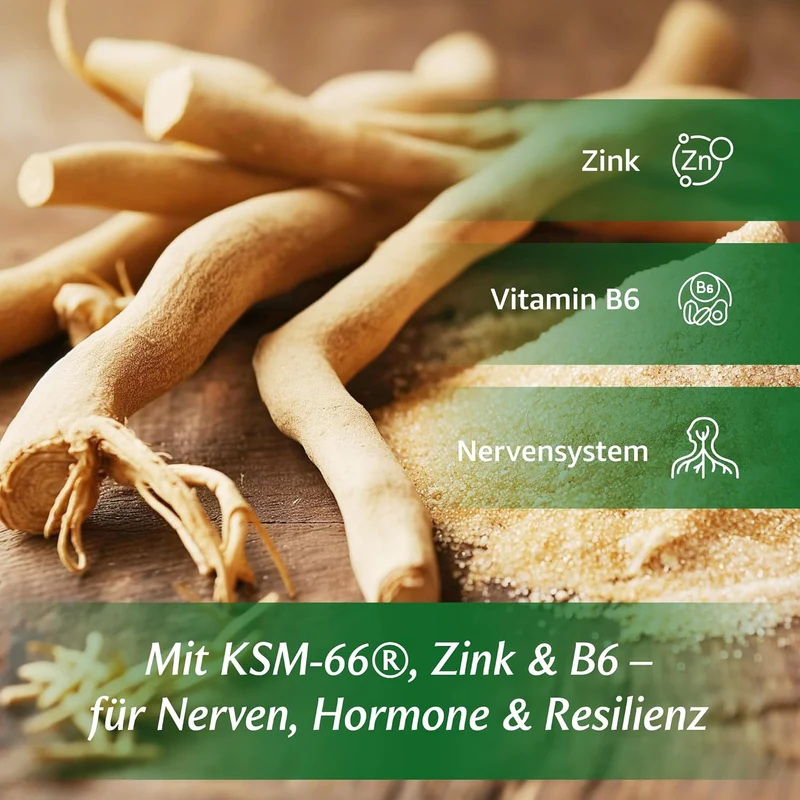 Ashwagandha Kapseln KSM-66 600 mg – mit Zink & Vitamin B6, 180 Stück | AshwaCore