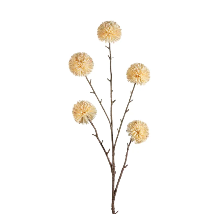 Pompom XL x5 L100cm cream