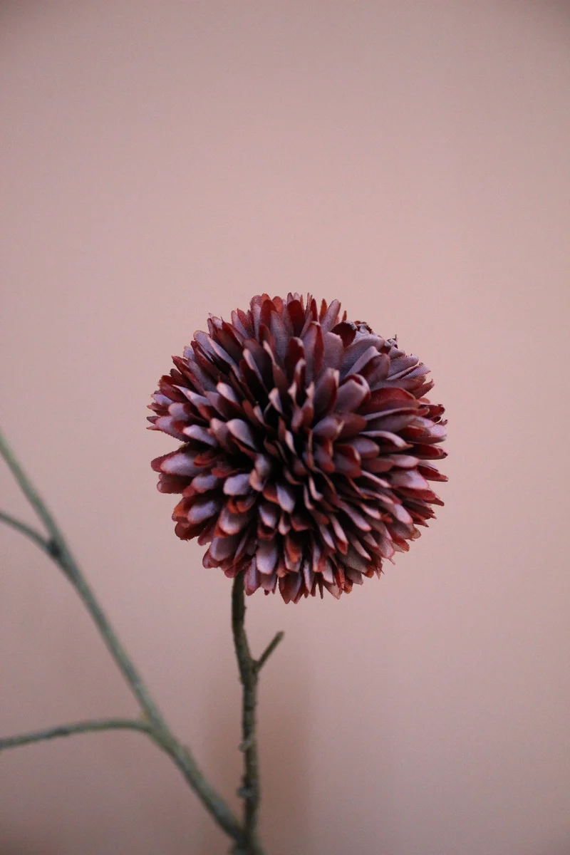 Pompom XL x5 L100cm Bordeaux/Burgundy