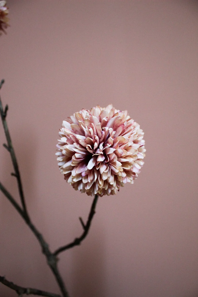Pompom XL x5 L100cm peach