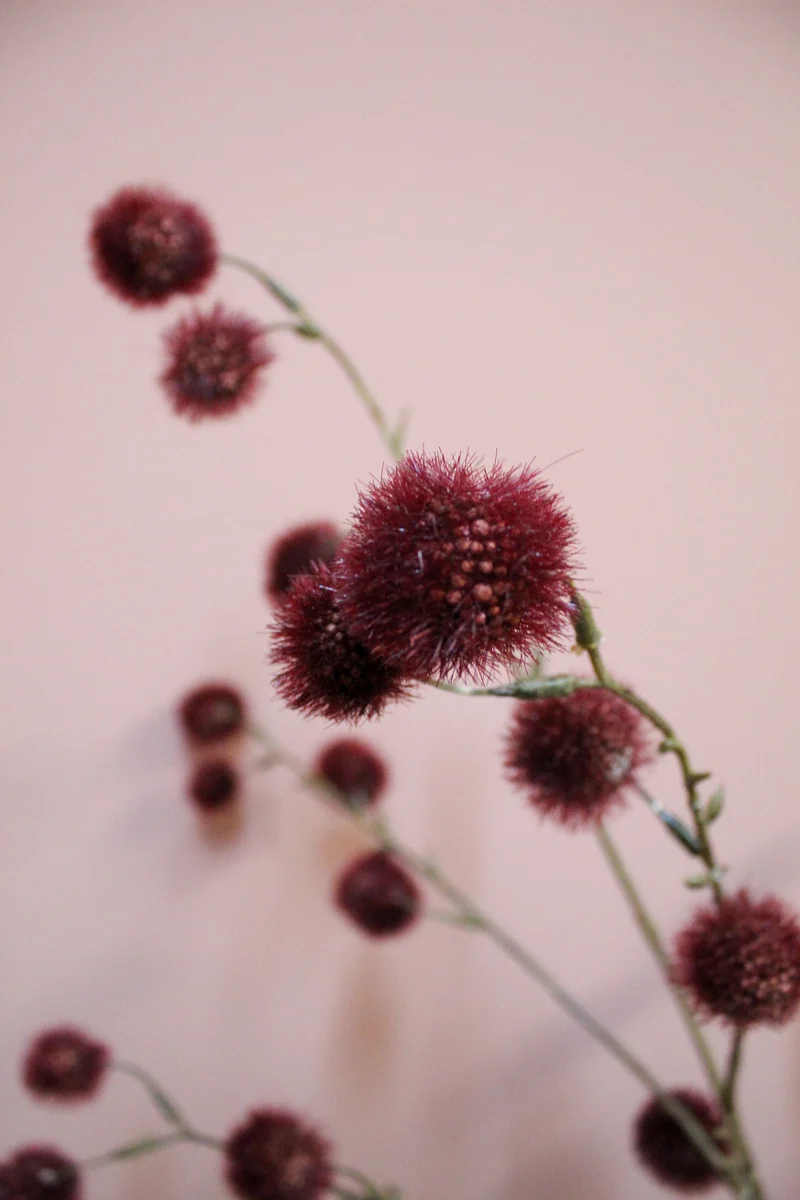 Pompom L91cm Bordeaux