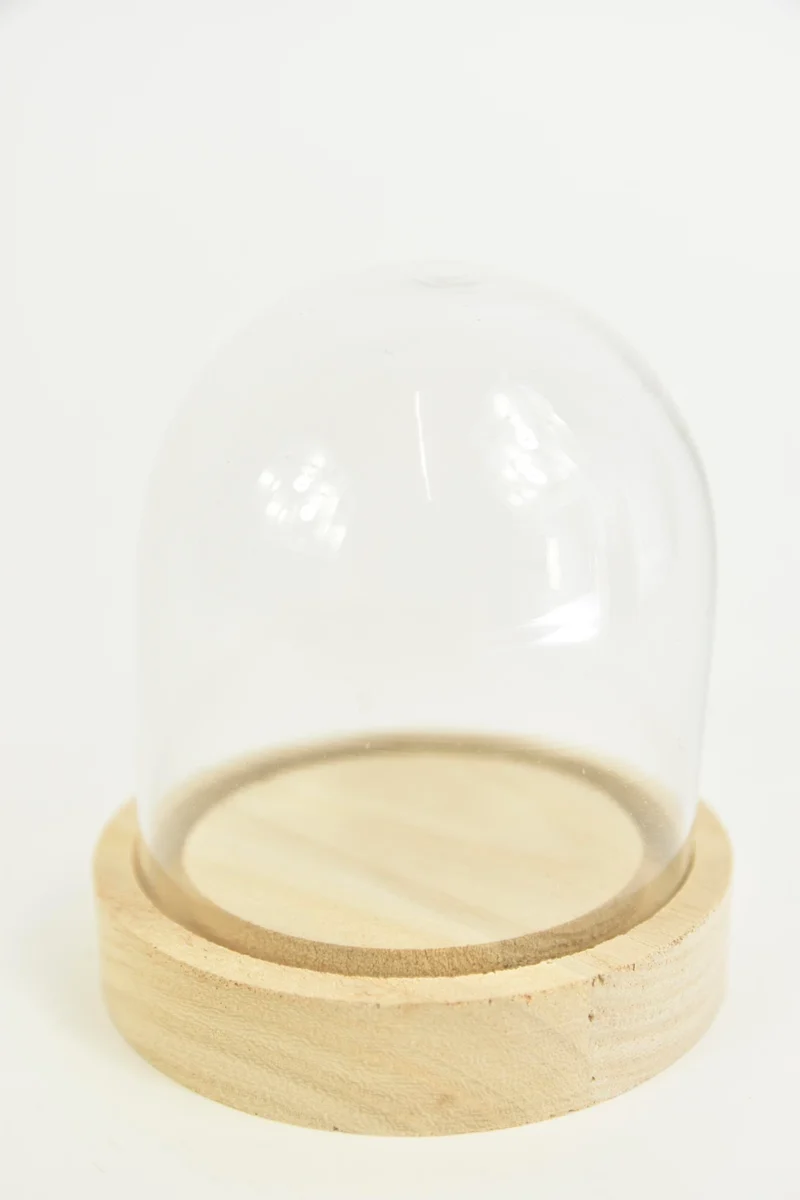 Glasglocke mit Holzboden Ø10 Höhe 15 cm