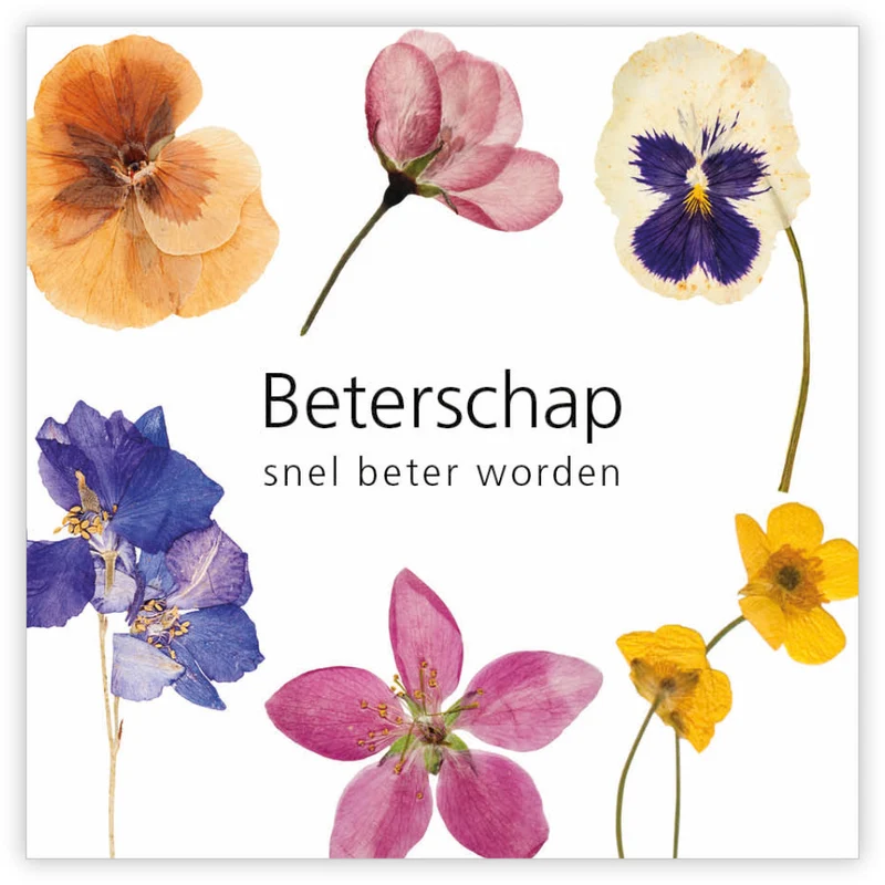 Packung à 12 Geschenkkarten Le Jardin Gute Besserung schnell wieder gesund werden