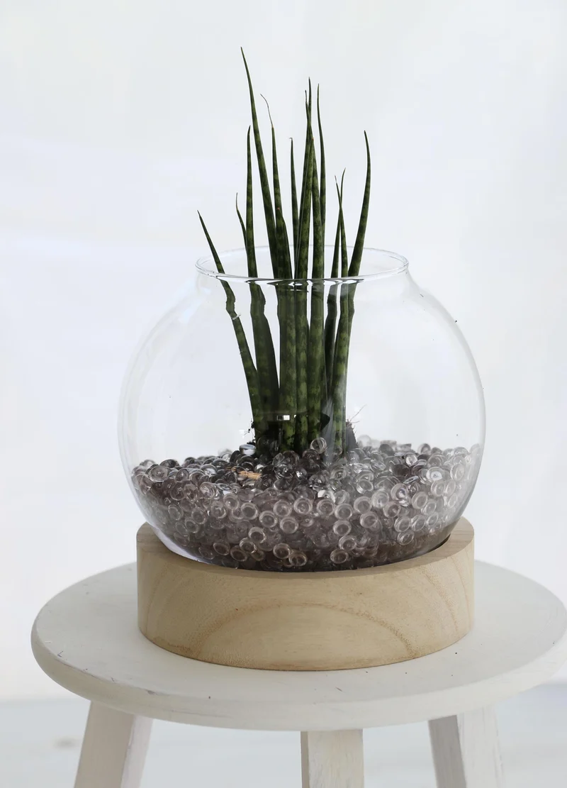 Glasvaas met houten basis Ø20 h.21cm