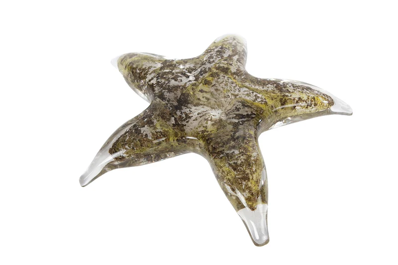Skulptur "Seestern" grau/grünes Glas 15,5x14,5x3,5cm