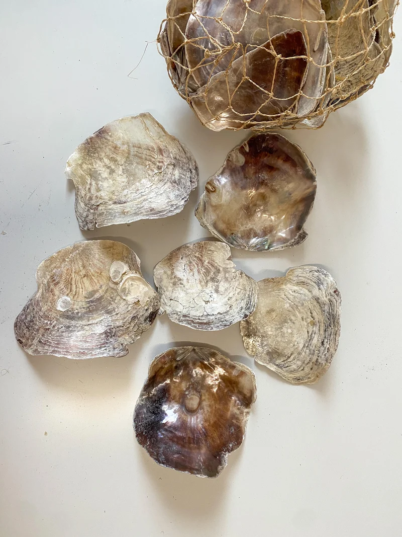 Placuna natural 1KG in net