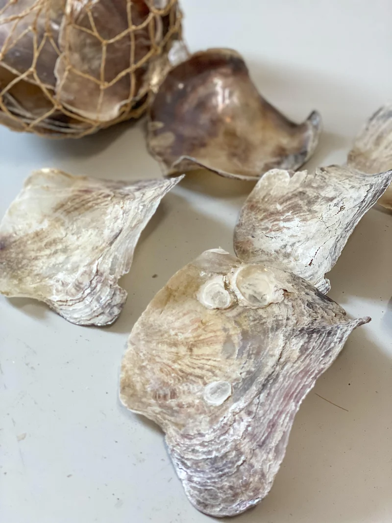 Placuna natural 1KG in net