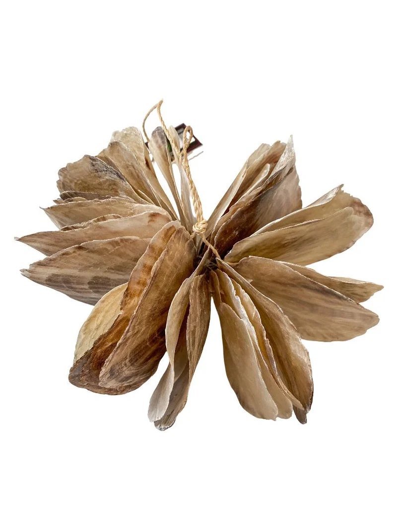Placuna hanging deco 23x23x15cm natural