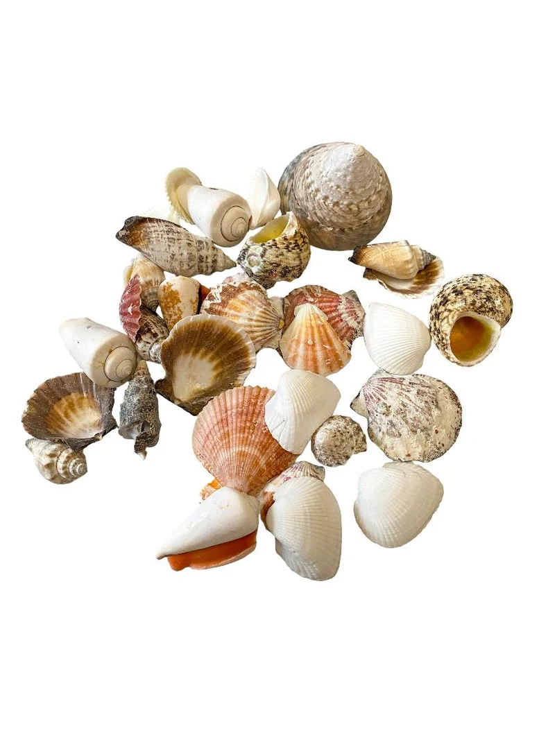 Shell mix ''Extra'' 500gr