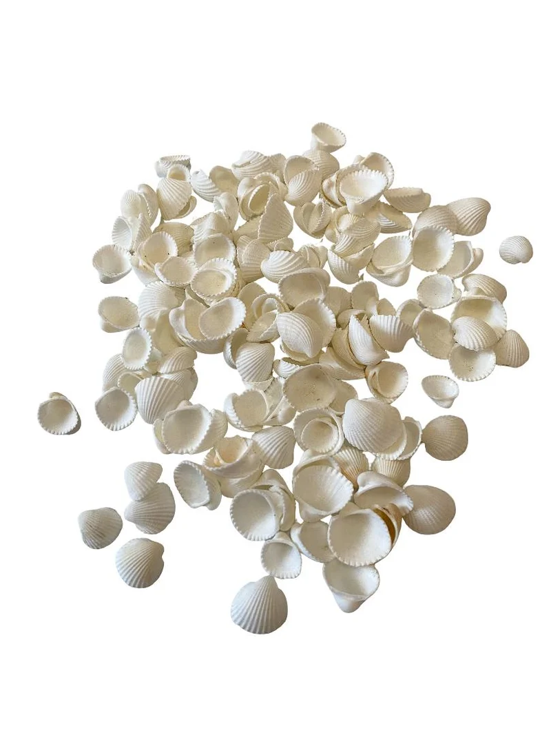 Anadara esephaca 500gr