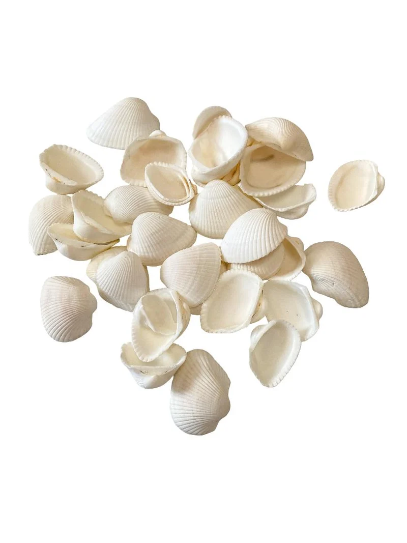 Arca Arca 500gr