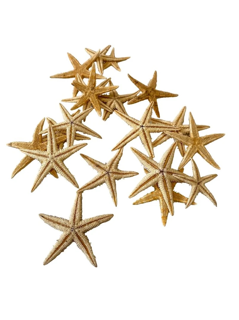 Sugar starfish ±2cm naturel 50pcs