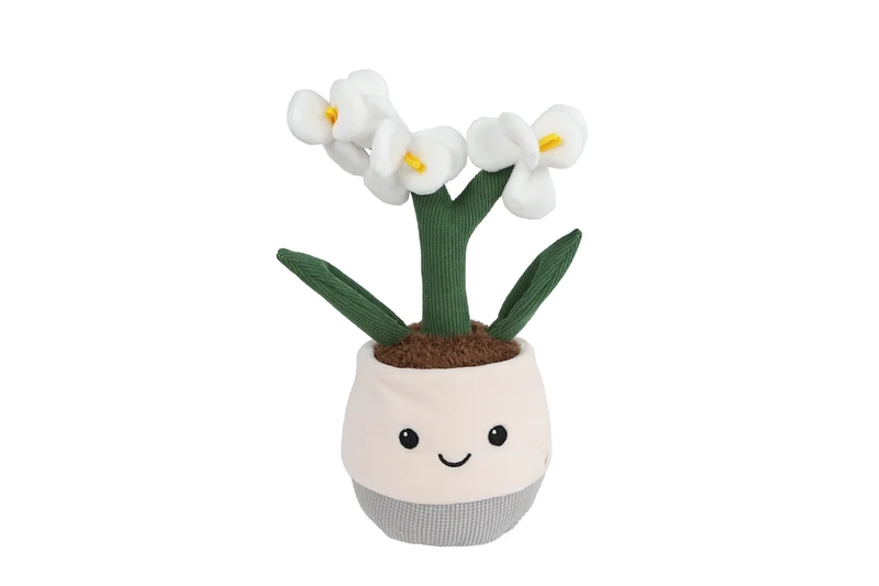 Take Me Home plant pluche orchidee L 2 assortie 23cm