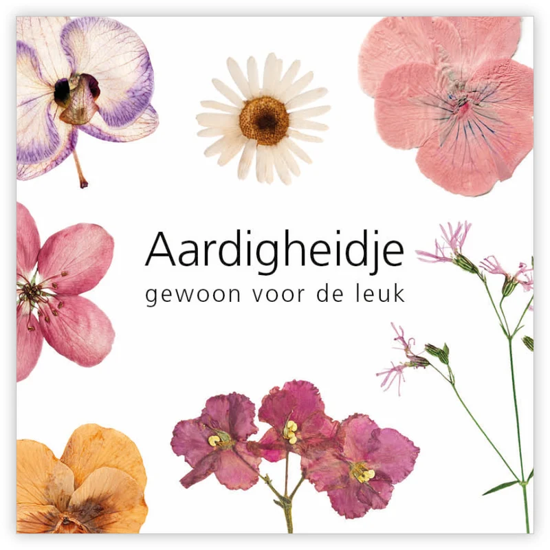Päckchen mit 12 Geschenkkarten Le Jardin Eine kleine Freude, einfach nur so