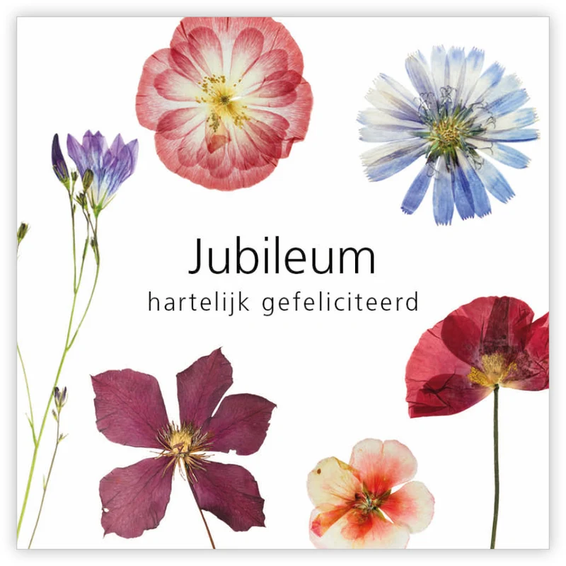 Päckchen mit 12 Geschenkkarten Le Jardin Jubileum, herzlichen Glückwunsch