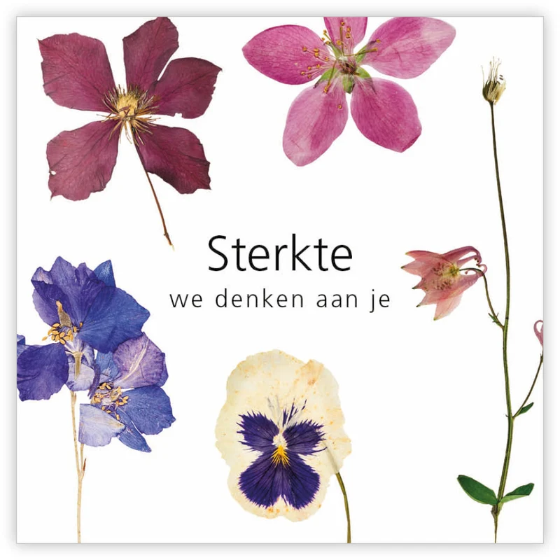 Packung mit 12 Geschenkkarten Le Jardin Wir denken an dich