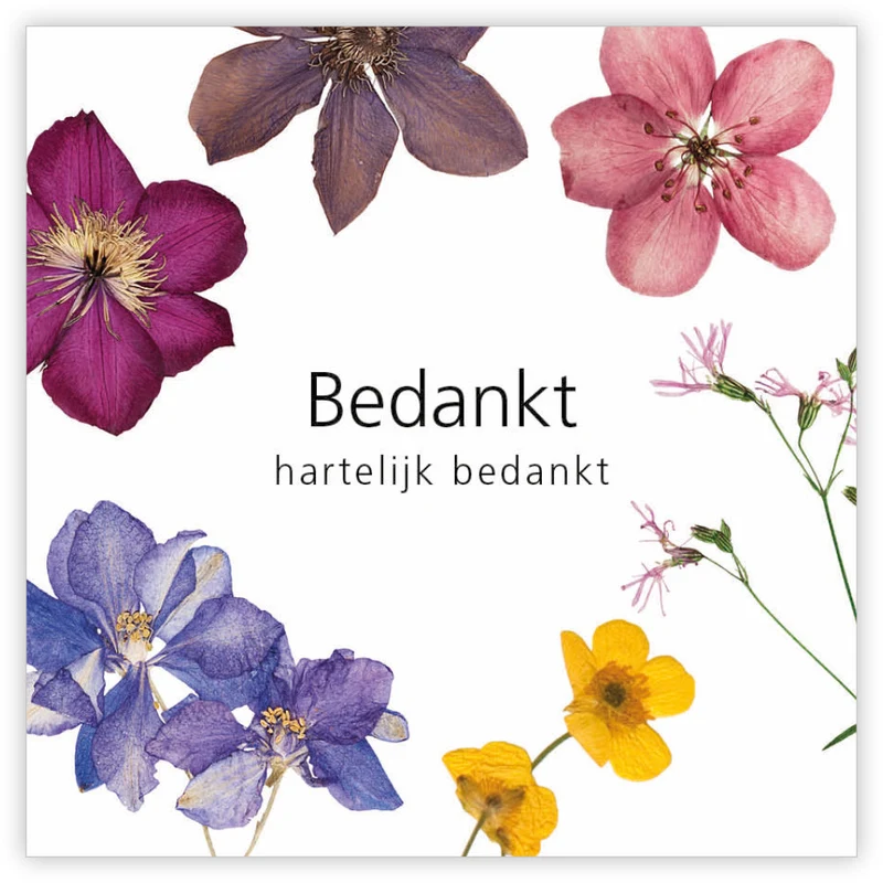 Pakung à 12 Geschenkkarten Le Jardin Vielen Dank