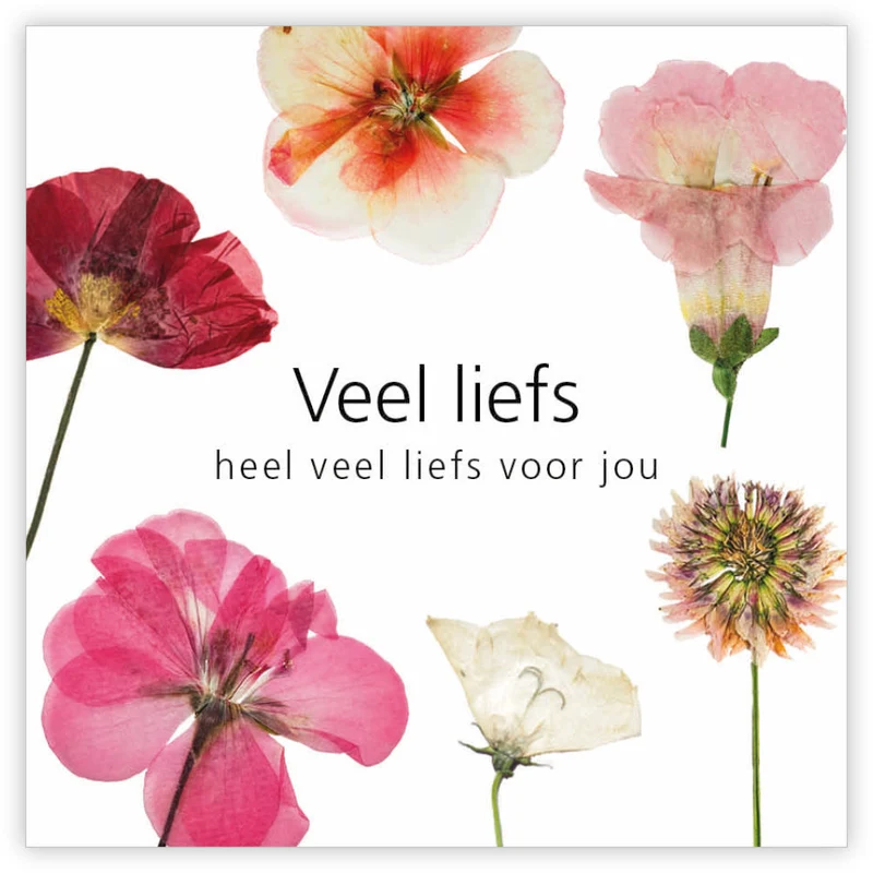 Packung mit 12 Geschenkkarten Le Jardin Viel Liebe viel Liebe
