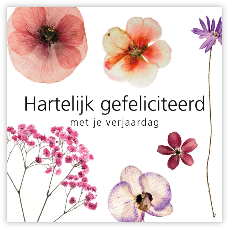 Päckchen mit 12 Geschenkkarten Le Jardin Herzlichen Glückwunsch