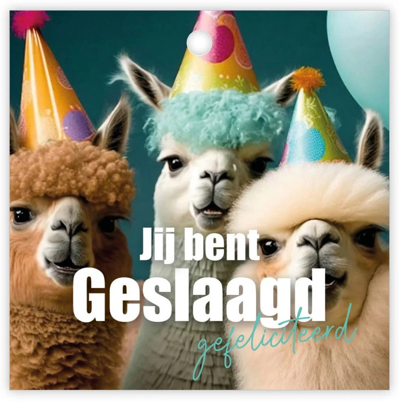 Packung à 12 Geschenkkärtchen Du hast bestanden, herzlichen Glückwunsch
