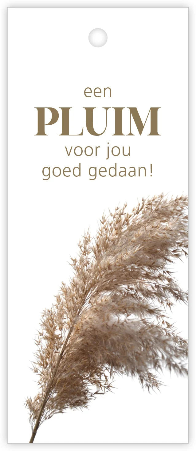 Packung mit 12 Geschenkkarten Pampas Ein Lob an dich, gut gemacht!