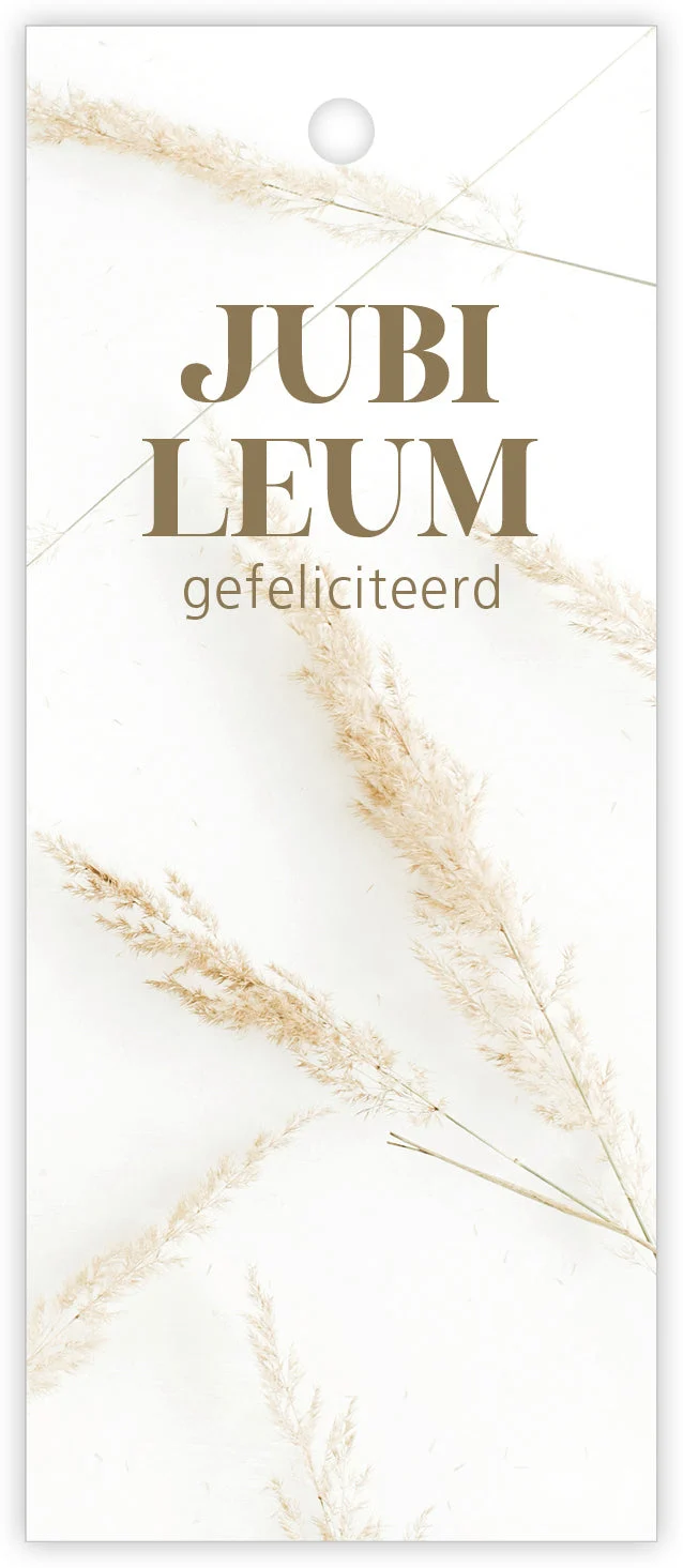 Päckchen mit 12 Geschenkkarten Pampas Jubiläum Herzlichen Glückwunsch
