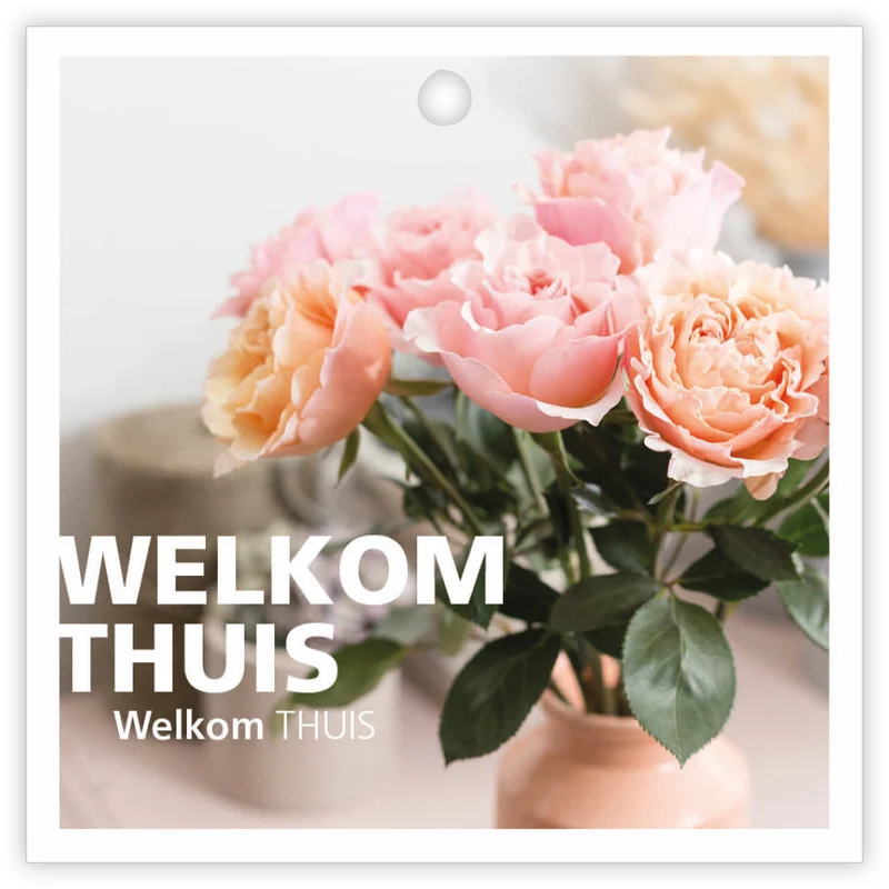 Packung à 12 Geschenkkarten Basics Willkommen zuhause
