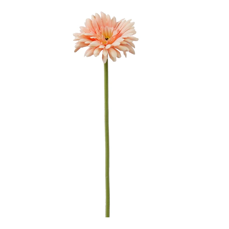 Einzelne Gerbera 55cm Lachs
