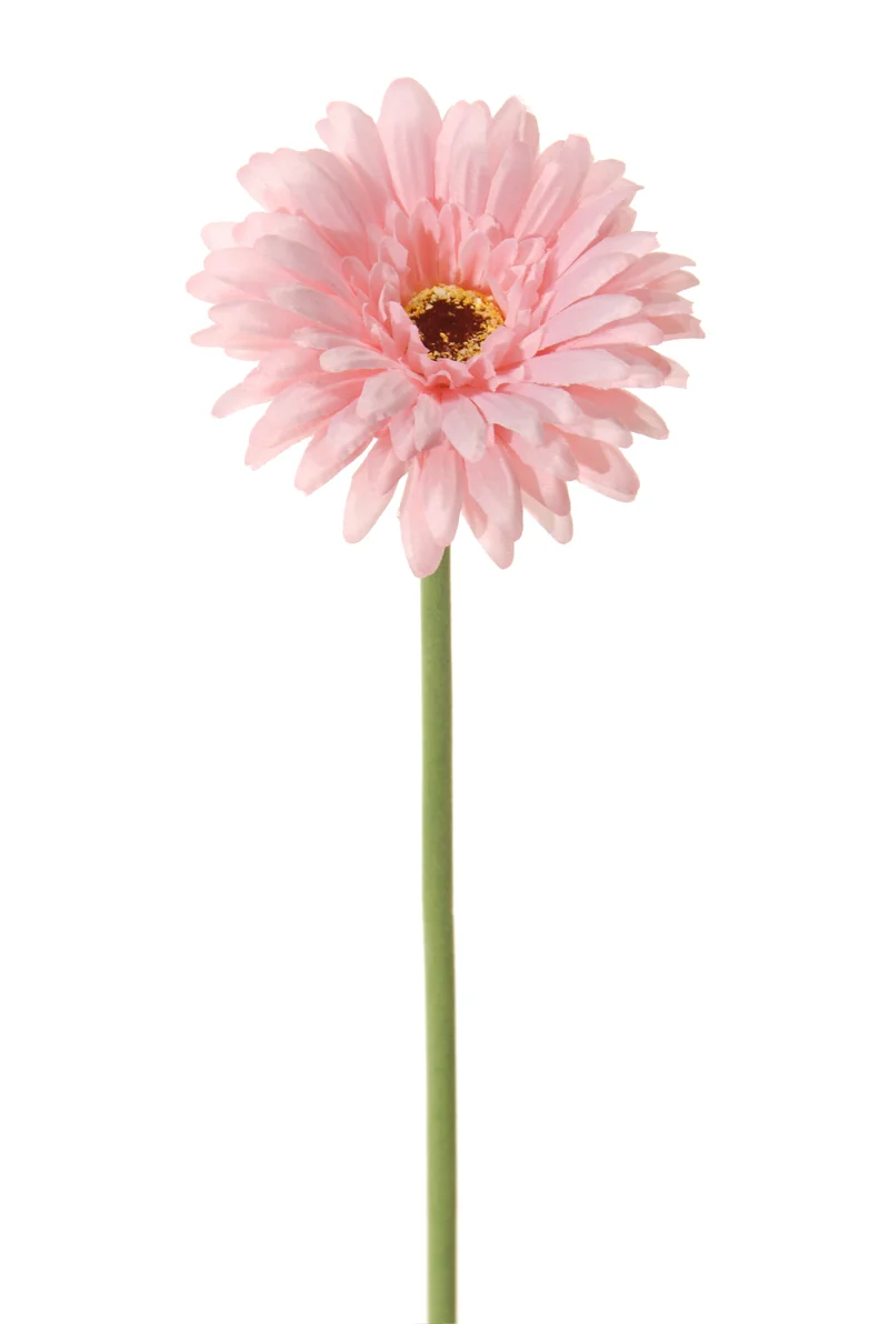 Gerbera l58cm hellrosa