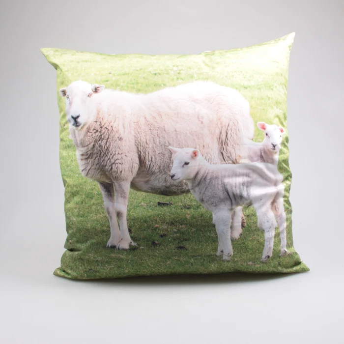 OUTDOOR-KISSEN SCHAF 60X60 CM