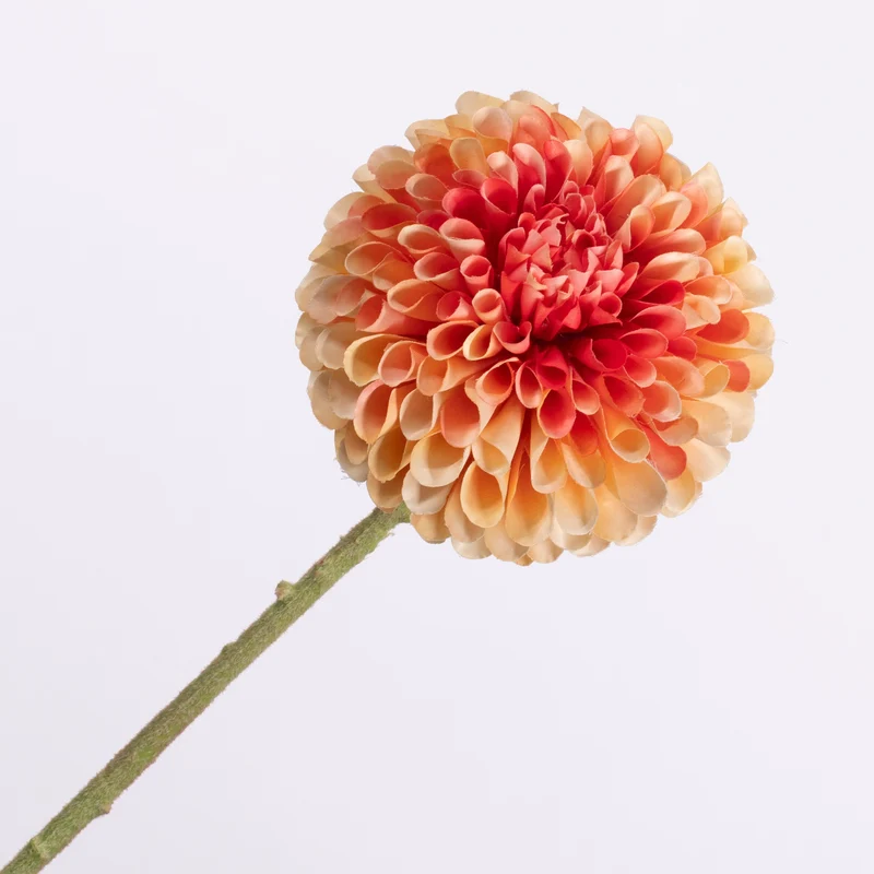 Dahlie Peach Pink 64cm