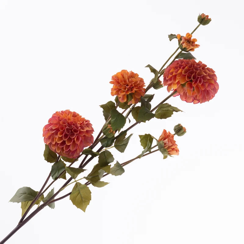 Dahlie Spray x4 Stiele 5 Knospen Koralle 113cm