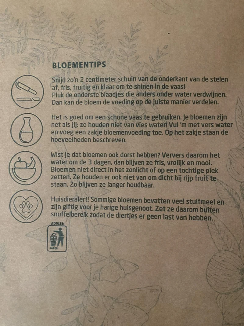 Papierrolle 45 g Natronkraft 60 cm Botanic Flower 12 kg FSC®