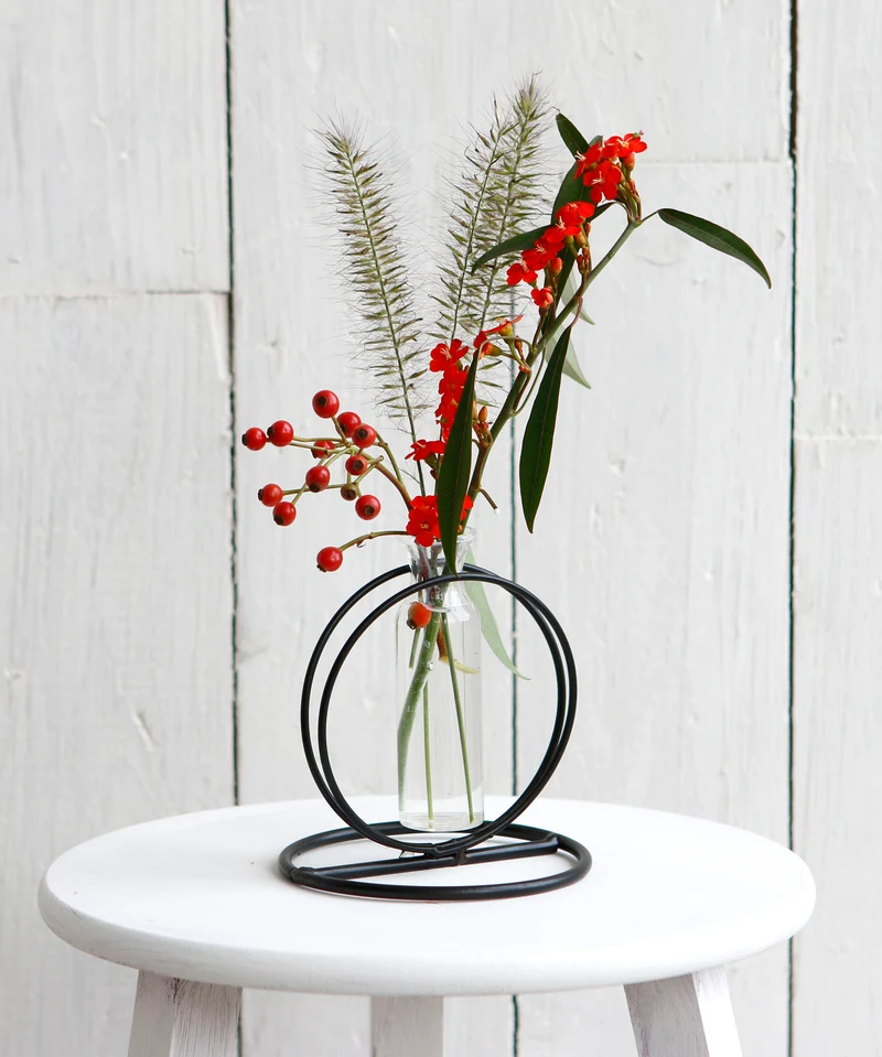 Metallkreis D10 H10cm schwarz mit Reagenzglas