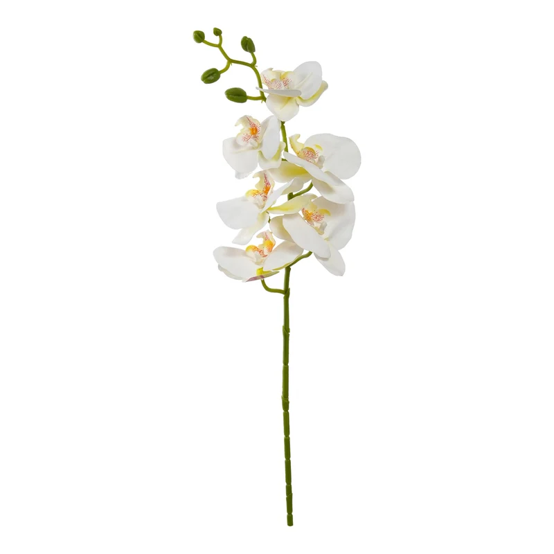 Orchideenzweig x6 Blätter 72cm Creme