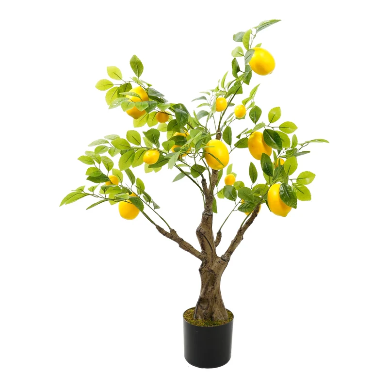 Zitronenbaum 90cm