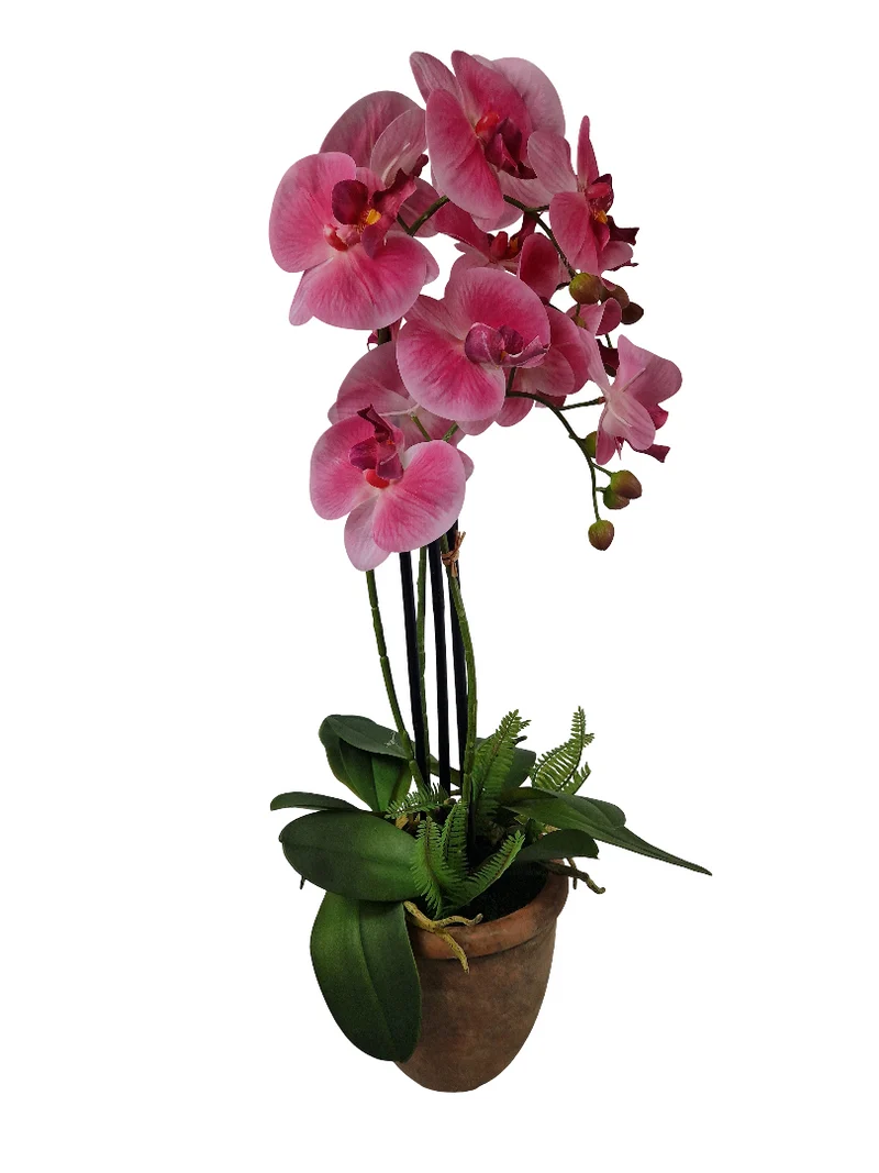 Orchidee 3 Rispen + Farn im Keramiktopf H68cm Rosa