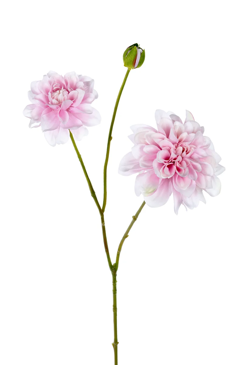 Dahlie L80cm rosa