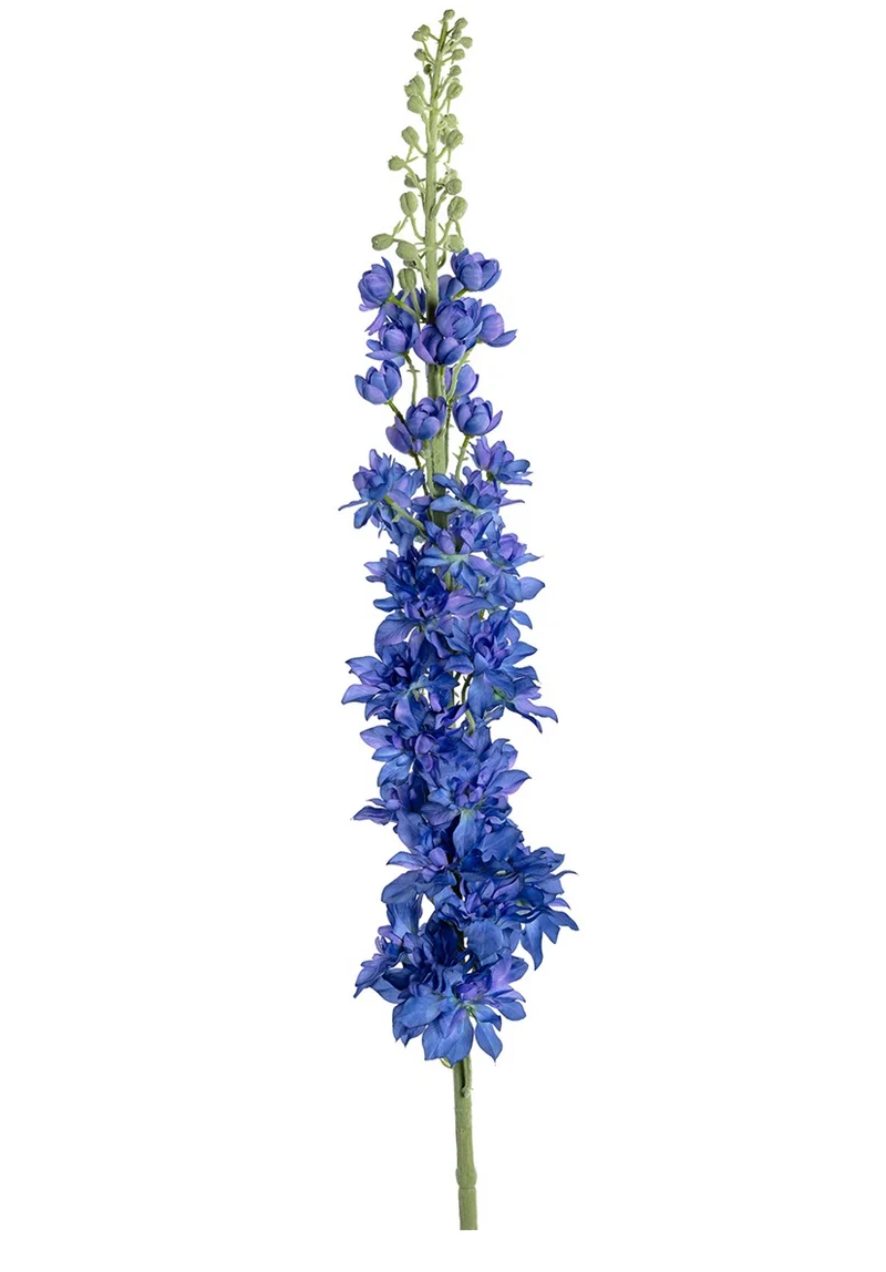 Rittersporn XL l135cm blau