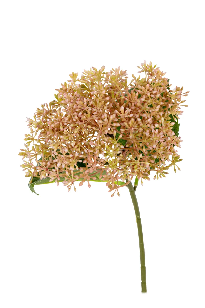 Sedum L30cm rosa