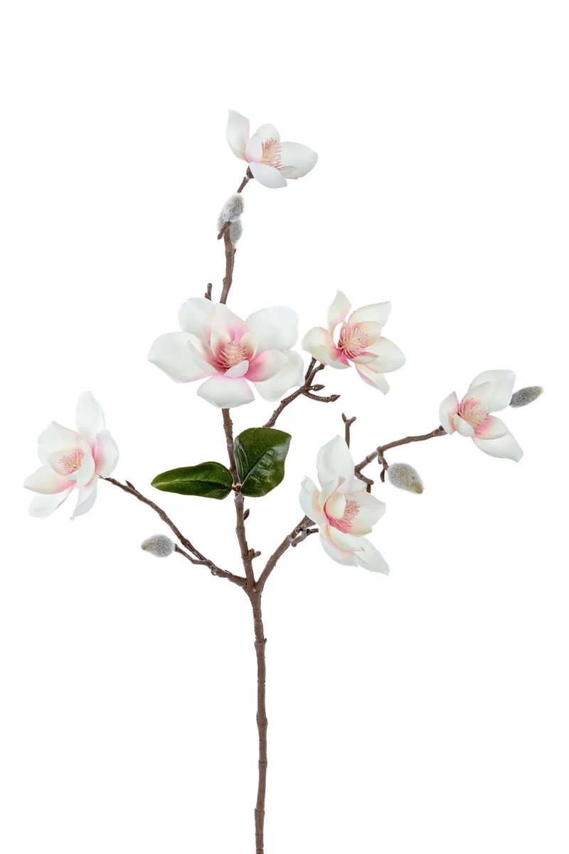 Magnolie L63cm creme/rosa