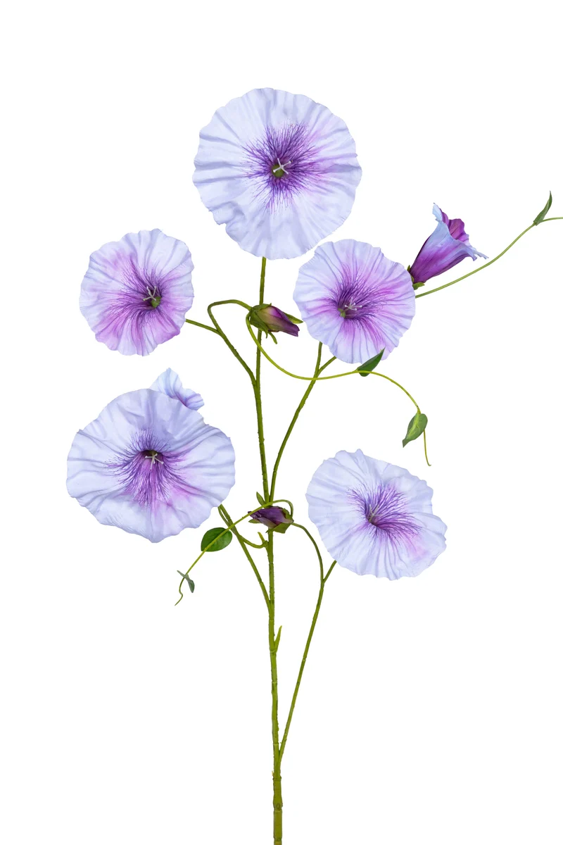 Trichterwinde L 90 cm Lila
